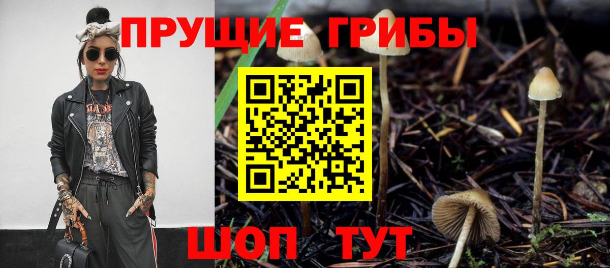 Лосино-Петровский  Псилоцибиновые грибы Psilocybine cubensis  как найти закладки  Вход с VPN 